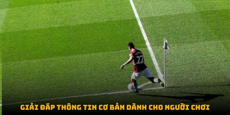 Giải đáp thông tin cơ bản dành cho người chơi